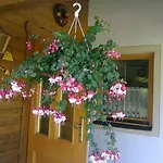 Guest house Grasser 3*