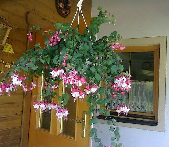 Πανσιόν Grasser 3*